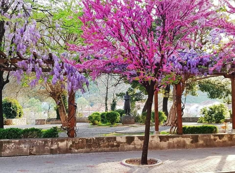 Apartment With Garden Hanja موستار المظهر الخارجي الصورة